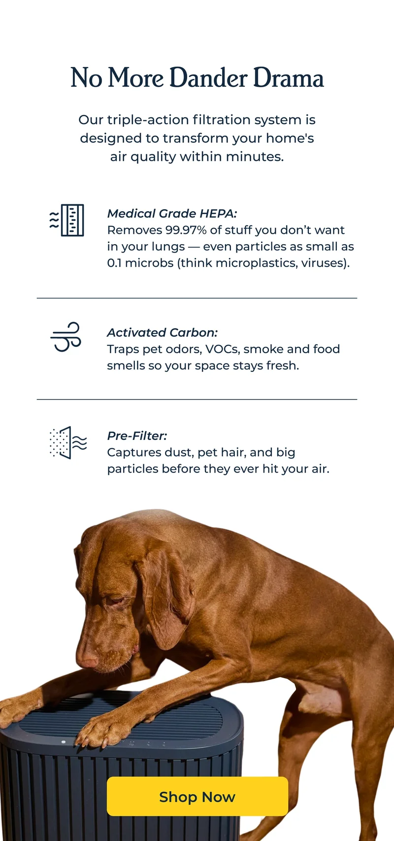 No More Dander Drama