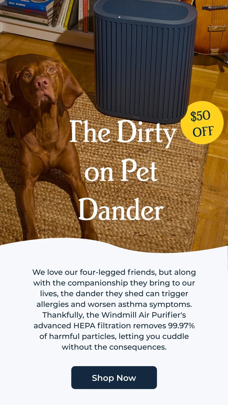 The Dirty on Pet Dander
