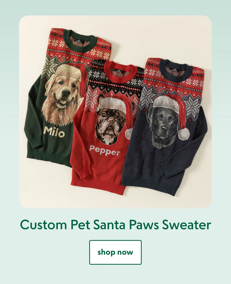 Custom Pet Santa Paws Sweater