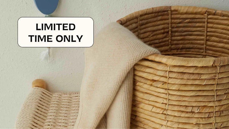 LIMITED TIME ONLY