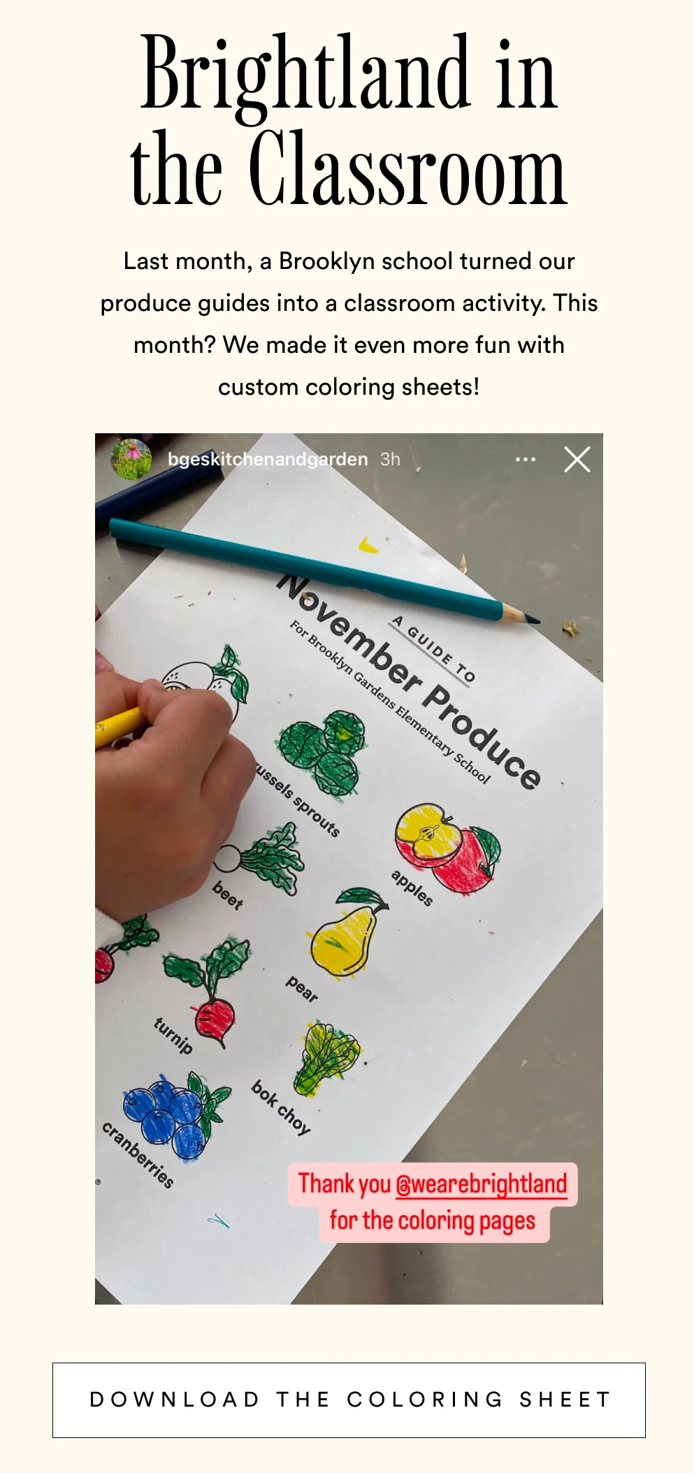 Download coloring sheet