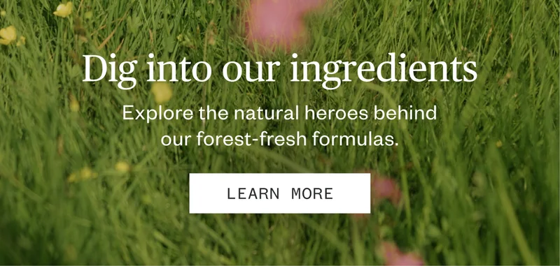 Learn More