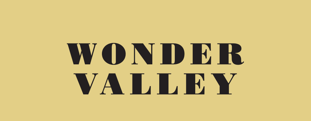 Wonder Valley