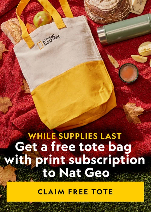 NGM