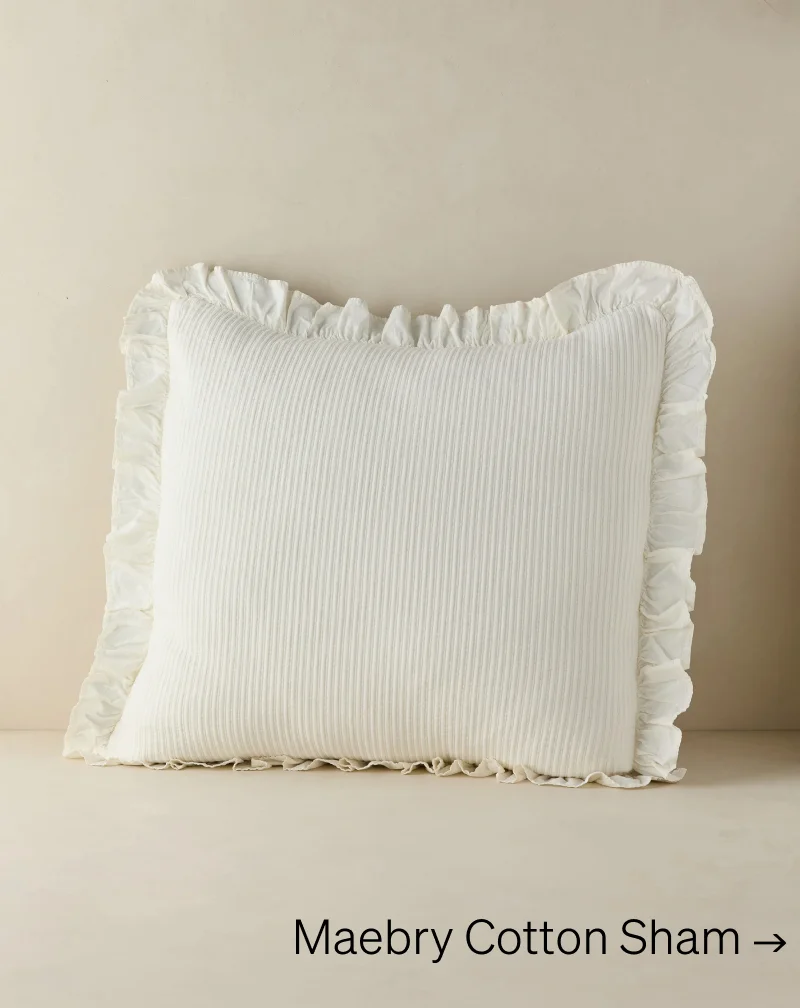 Shop Maebry Cotton Sham