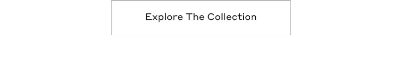 Explore The Collection