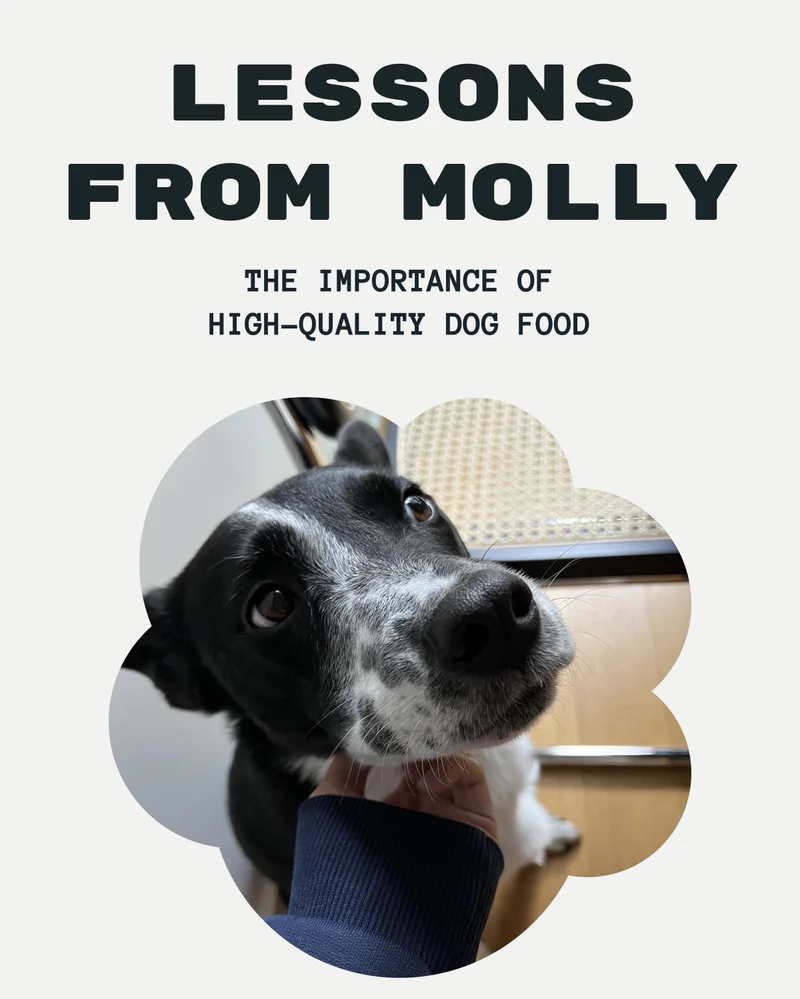Lessons from Molly