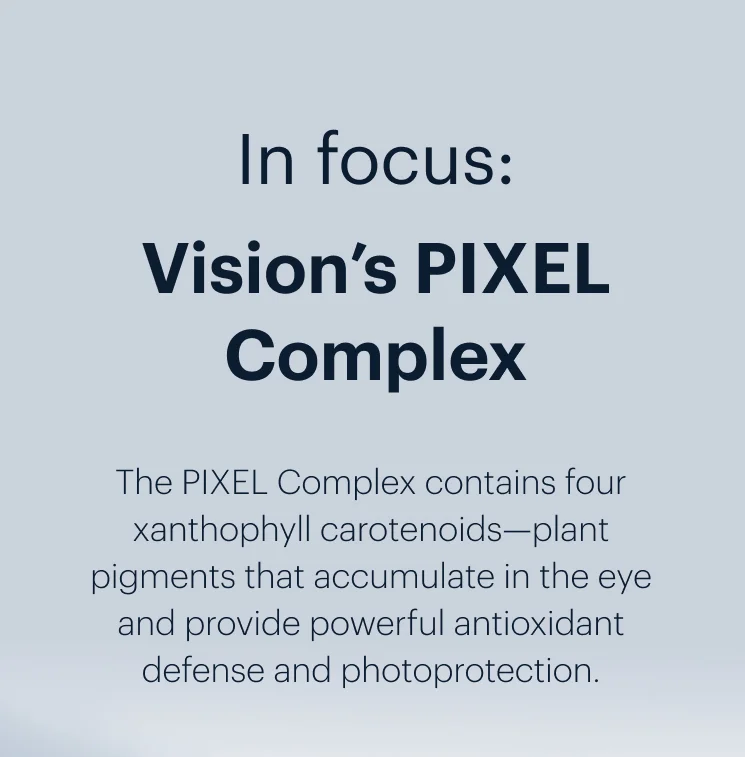 In focus: Vision’s PIXEL Complex