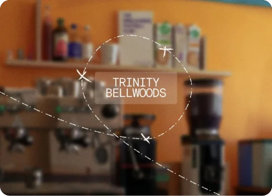 Trinity Guide