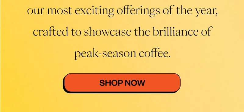 our most exciting offerings of the year, crafted to showcase the brilliance of peak-season coffee. Shop Now