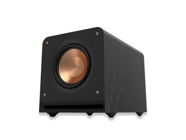 RP-1000SW 10” Subwoofer