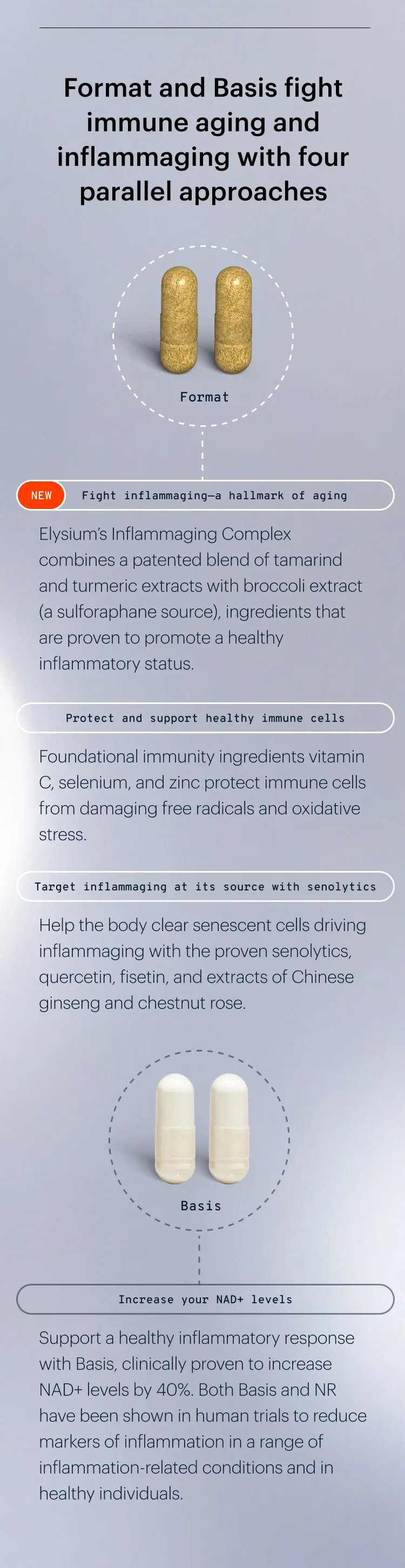 Format and Basis fight immune aging and inflammaging with four parallel approaches
