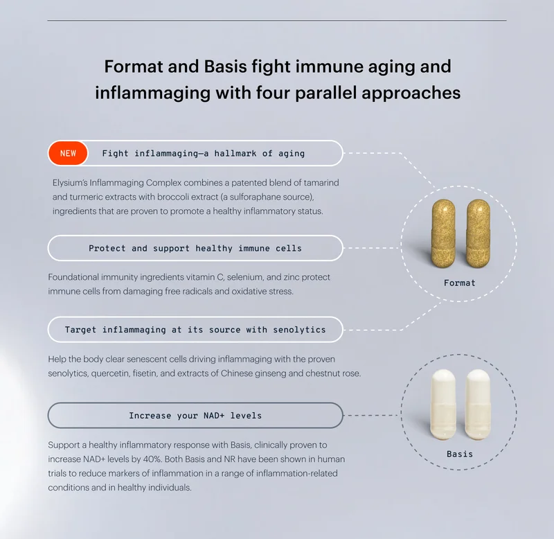 Format and Basis fight immune aging and inflammaging with four parallel approaches
