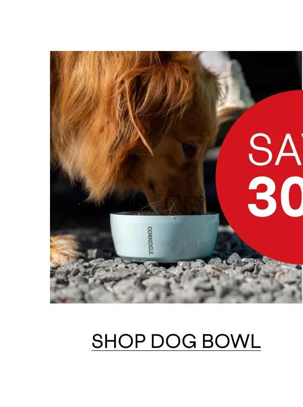 Shop Dog Bowl