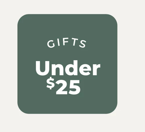 gifts under $25