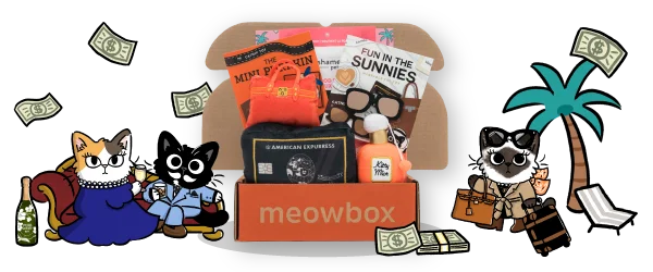 Image of the Cats with Cash meowbox (featuring toys like the Fun in the Sunnies, The Mini Purrkin Bag, Stack of Cashnip toys and more)