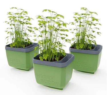 Gusta Garden Set of 3 Self Watering Herb Planters