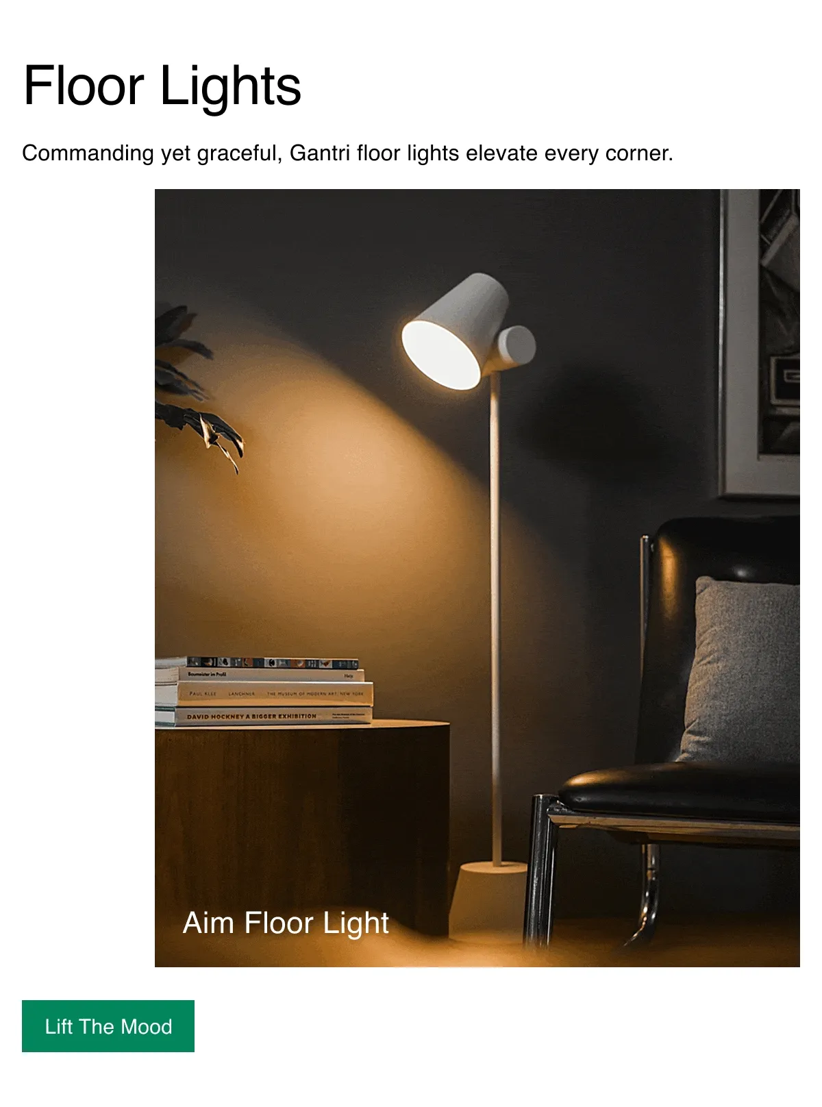 Floor Lights