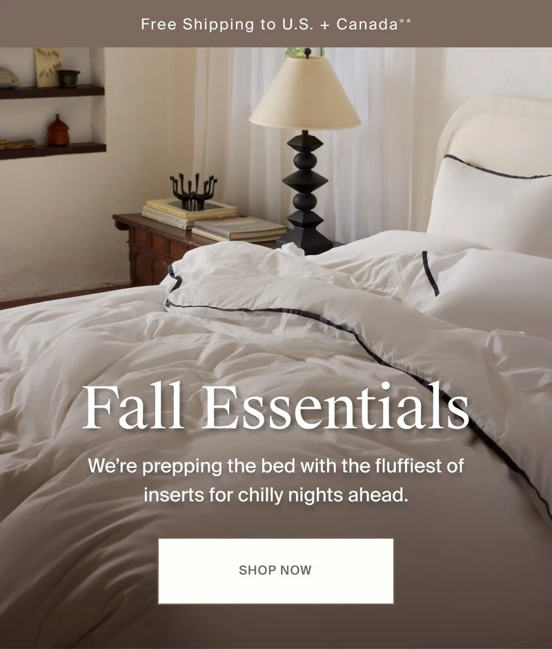 Fall Essentials | Shop Inserts
