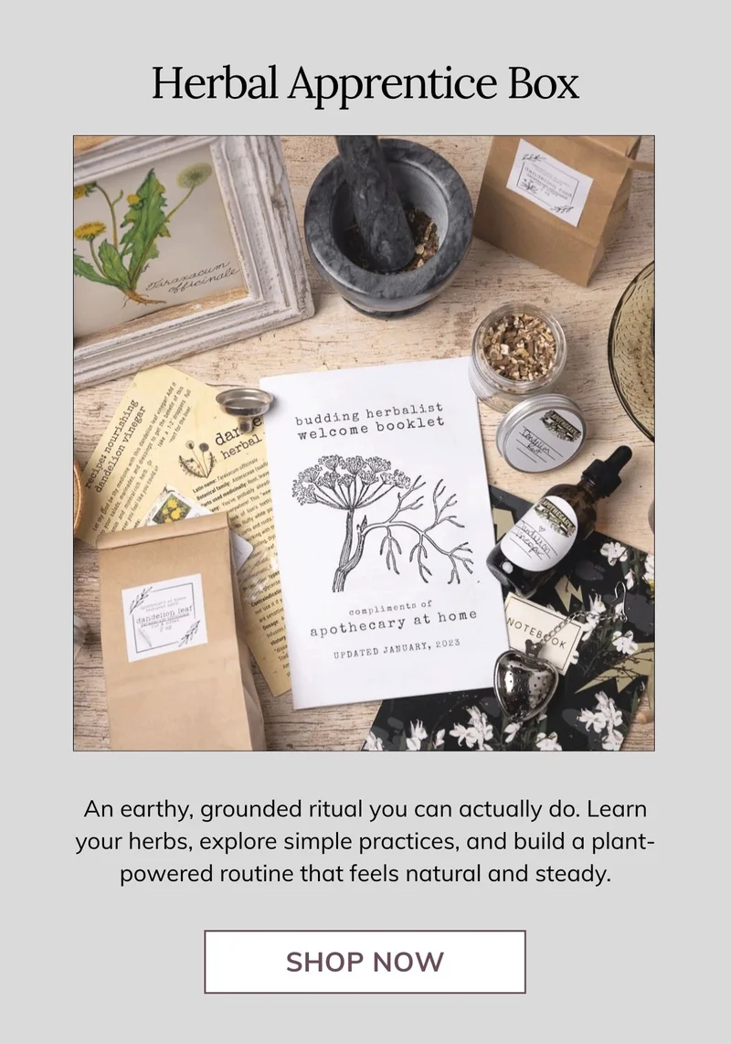 Herbal Apprentice Box