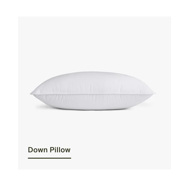 Shop Down Pillow