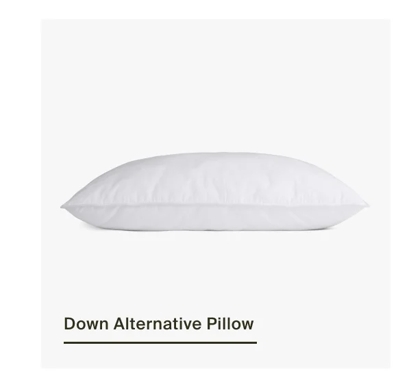 Show Down Alt Pillow