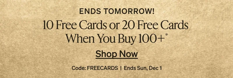 Black Friday Sale