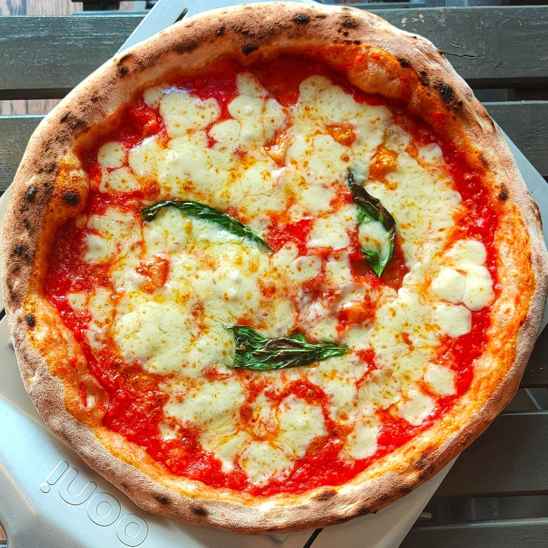 Beer Pizza Dough
