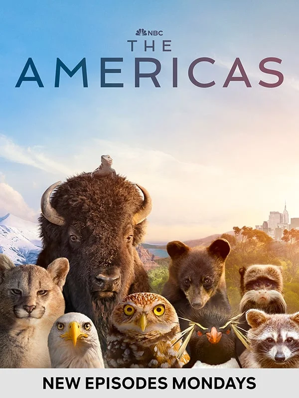 The Americas