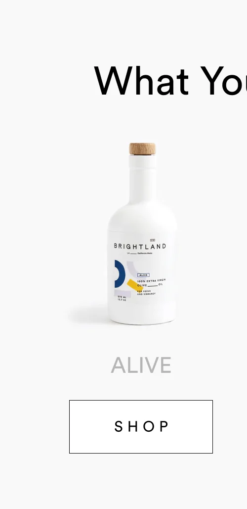 What You’ll Need… -image- ALIVE