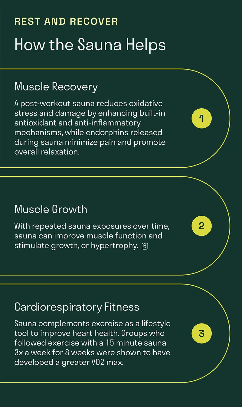 Rest and recover. How the sauna helps: muscle recovery. Muscle Growth. Cardiorespiratory Fitness.