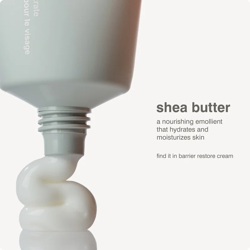 shea butter: a nourishing emollient that hydrates and moisturizes skin. find it in barrier restore cream.