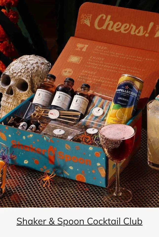 Shaker & Spoon Cocktail Kit