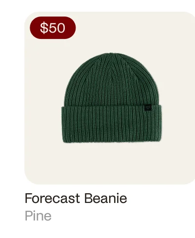 Forecast Beanie Pine