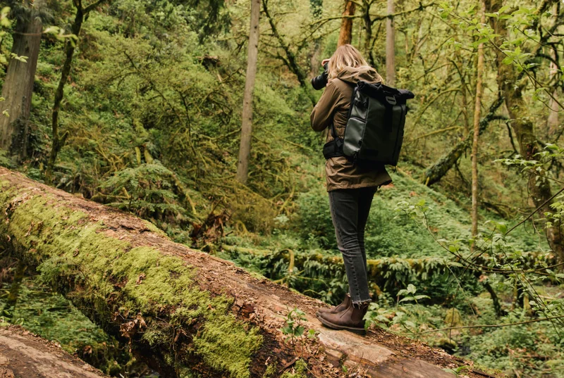 Woman photographing a beautiful forest
