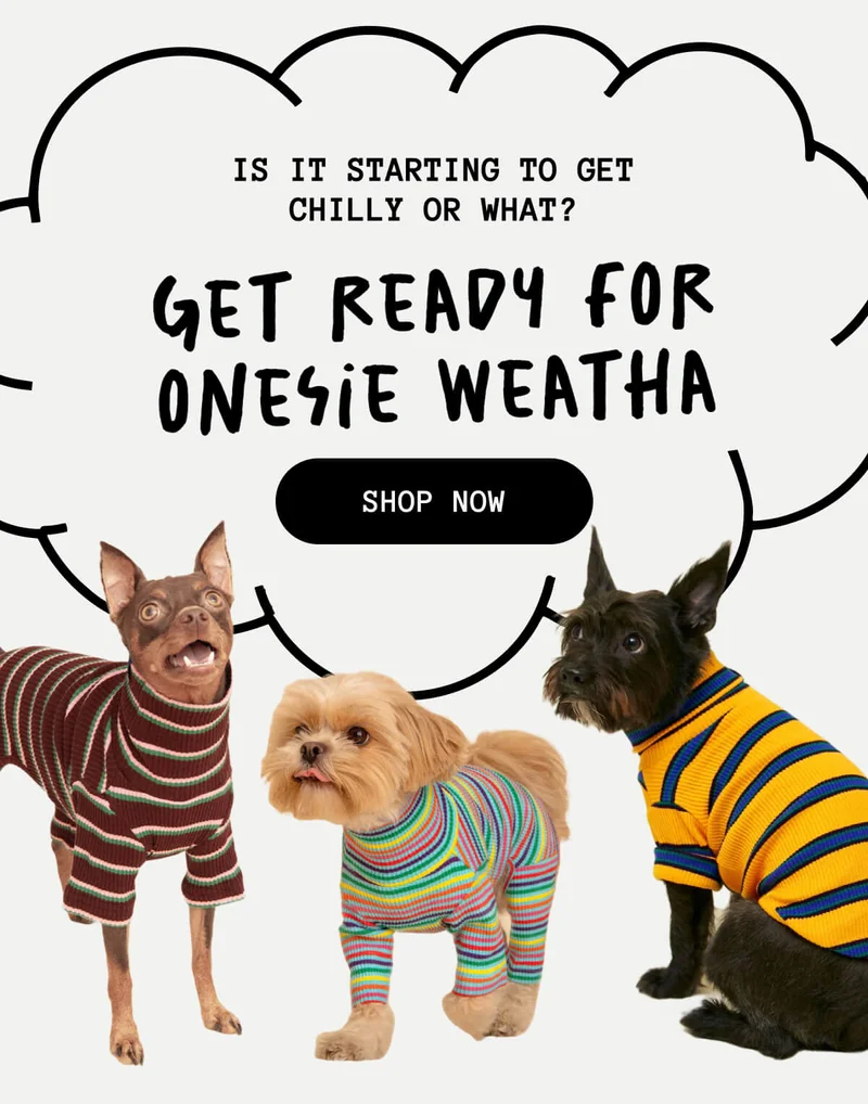 Is it starting to get chilly or what? get ready for onesie weatha