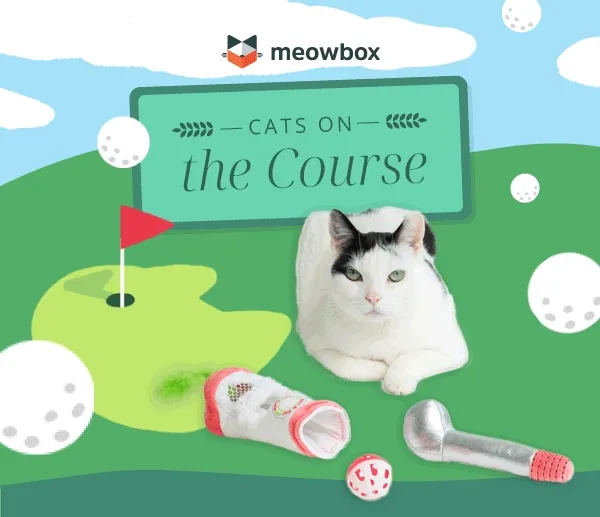 Cats on the Course! Burst of a white and black spotted cat playing with the Nine Lives (Iron) 3 Pack Catnip Toys in front of a golf course background with flying golf balls