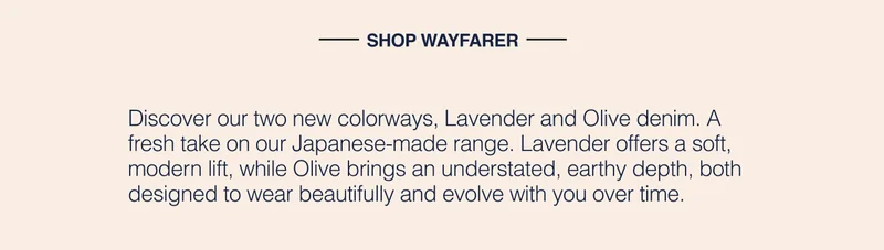 Shop Wayfarer