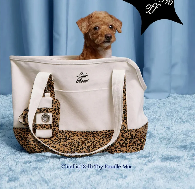 The Big Little Beast Sale