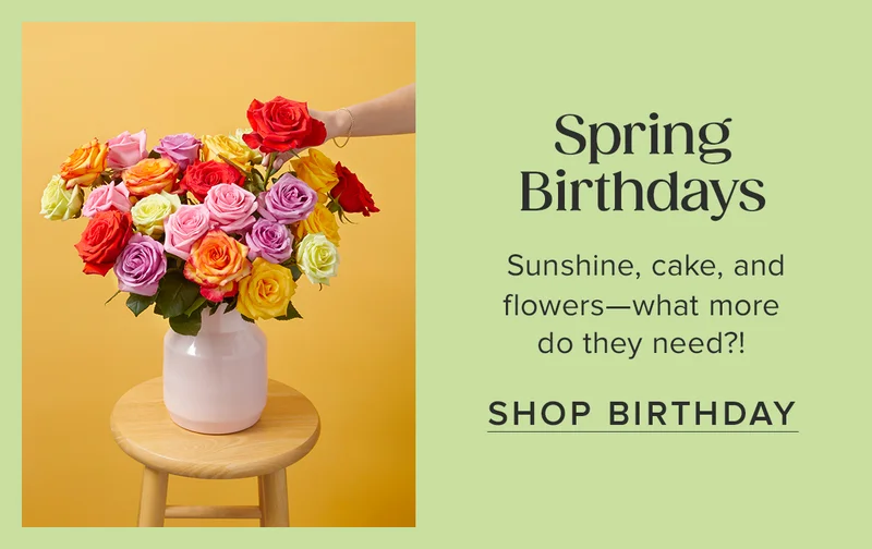 Spring Birthdays. Sunshine, cake and flowers - what more do they need?! Shop Birthday.