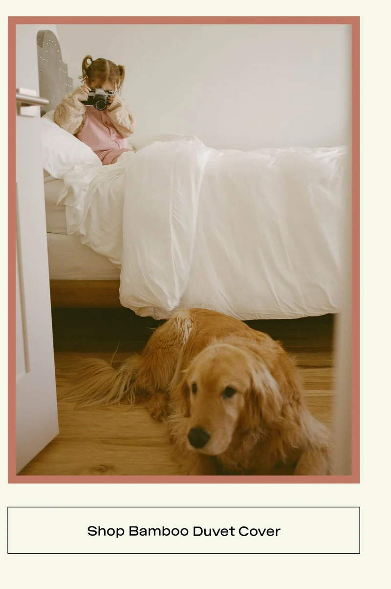 Shop Bamboo Duvet Cover