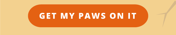Get my paws on it!