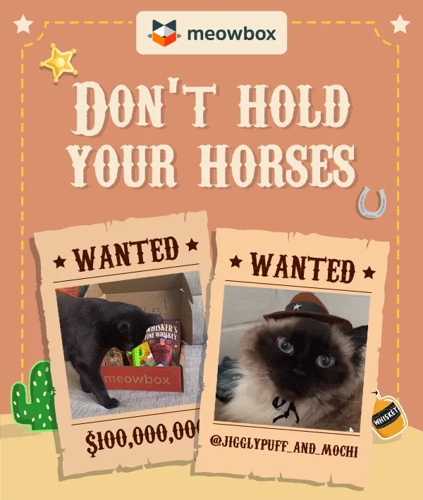 Don't hold your horses! User generated content from meowbox and @jigglypuff_and_mochi cats playing with the Western Tails meowbox (featuring toys like the Whisker's Fine Whiskey Kicker, Meowboy Hat Wearable, Chewy Catcus Dental Toys and more). Content in a Wanted poster background.
