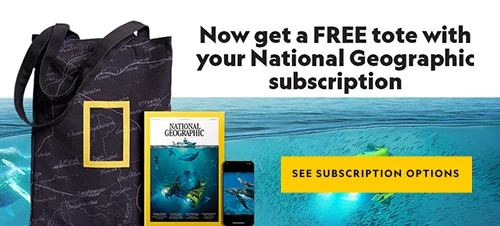 Subscribe to Nat Geo Today! Now get a FREE tote.