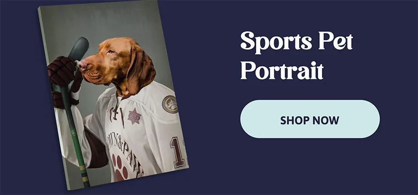 Sports Pet Portrait