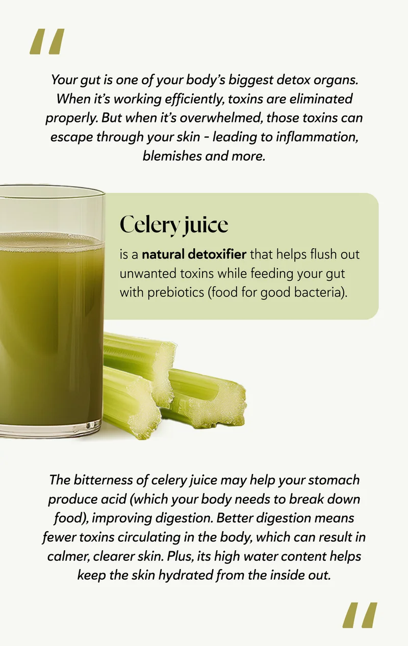 "Your gut is one of your body’s biggest detox organs. When it’s working efficiently, toxins are eliminated properly. But when it’s overwhelmed, those toxins can escape through your skin – leading to inflammation, blemishes and more." Celery juice is a natural detoxifier that helps flush out unwanted toxins while feeding your gut with prebiotics (food for good bacteria). "The bitterness of celery juice may help your stomach produce acid (which your body needs to break down food), improving digestion. Better digestion means fewer toxins circulating in the body, which can result in calmer, clearer skin. Plus, its high water content helps keep the skin hydrated from the inside out."