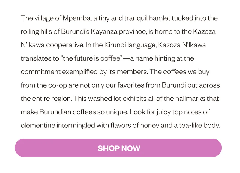 The village of Mpemba, a tiny and tranquil hamlet tucked into the rolling hills of Burundi’s Kayanza province, is home to the Kazoza N’Ikawa cooperative. In the Kirundi language, Kazoza N’Ikawa translates to “the future is coffee”—a name hinting at the commitment exemplified by its members. The coffees we buy from the co-op are not only our favorites from Burundi but across the entire region. This washed lot exhibits all of the hallmarks that make Burundian coffees so unique. Look for juicy top notes of clementine intermingled with flavors of honey and a tea-like body.  CTA SHOP NOW