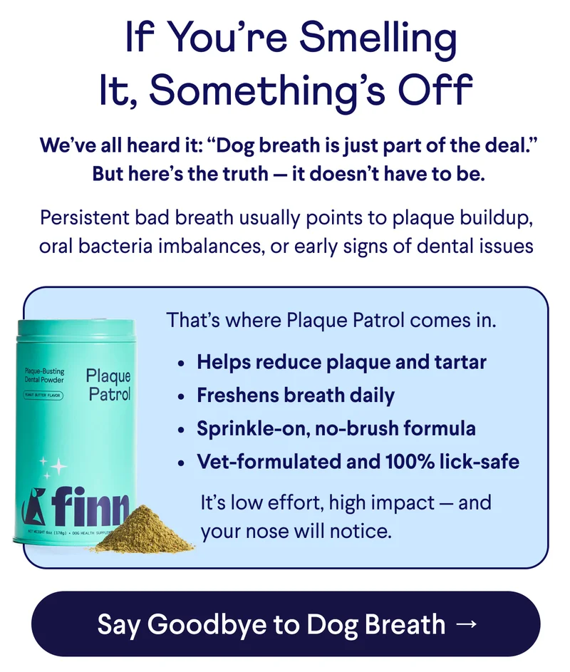 Text:&nbsp;If You’re Smelling It, Something’s Off &nbsp;We’ve all heard it: “Dog breath is just part of the deal.”  But here’s the truth — it doesn’t have to be.  Persistent bad breath usually points to plaque buildup, oral bacteria imbalances, or early signs of dental issues   Helps reduce plaque and tartar Freshens breath daily Sprinkle-on, no-brush formula Vet-formulated and 100% lick-safe That’s where Plaque Patrol comes in. It’s low effort, high impact — and your nose will notice. CTA: Say Goodbye to Dog Breath →