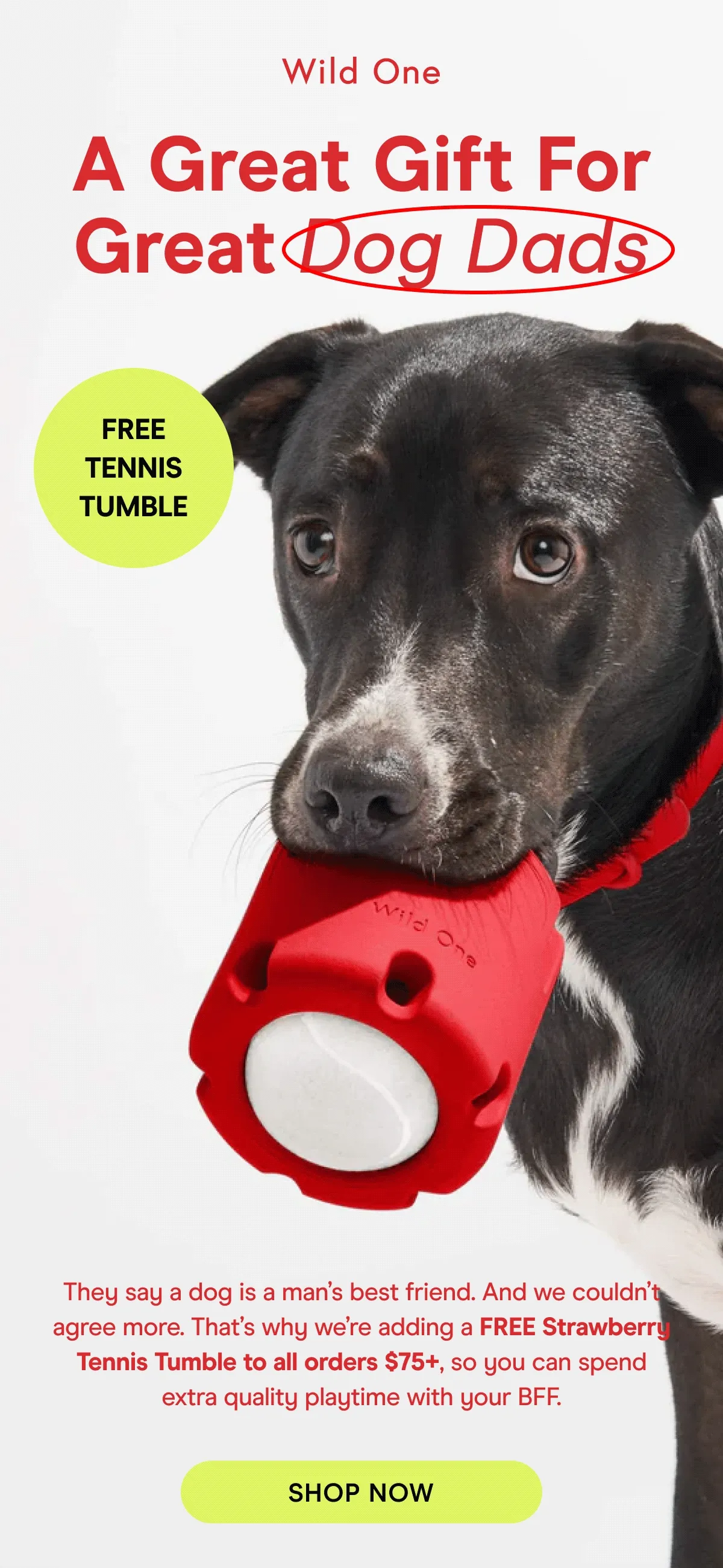 They say a dog is a man’s best friend. And we couldn’t agree more. That’s why we’re adding a FREE Strawberry Tennis Tumble to all orders $75+, so you can spend extra quality playtime with your BFF.