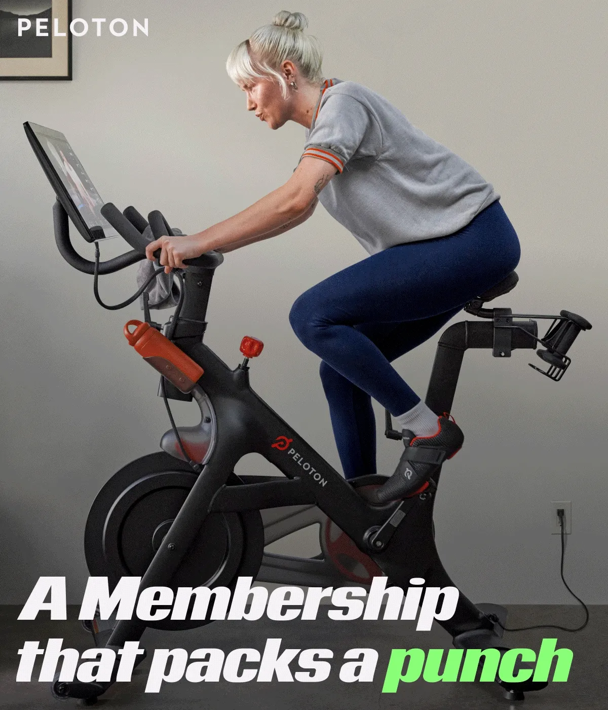 A Membership that packs a punch